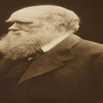 Fotografía en tono sepia de perfil de Charles Darwin, mostrando su barba canosa y mirada reflexiva sobre un fondo oscuro.