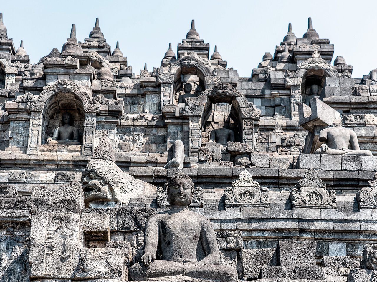 Vista en contrapicado de múltiples estatuas de piedra de Buda y estupas perforadas en forma de campana alineadas en las terrazas superiores del Templo de Borobudur bajo un cielo azul.