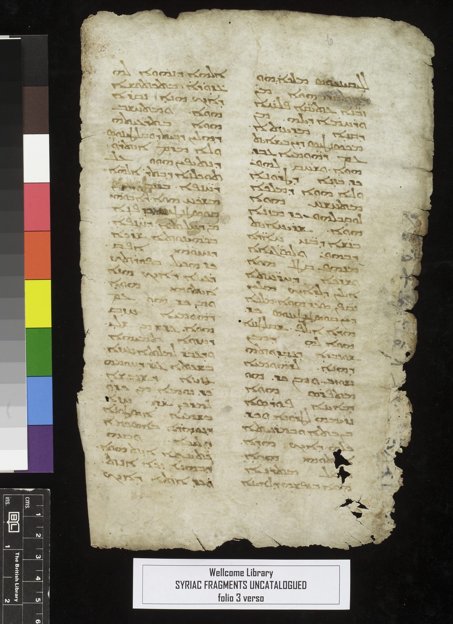 Manuscrito antiguo en pergamino con texto en siríaco distribuido en dos columnas, acompañado de una carta de colores de calibración a la izquierda.
